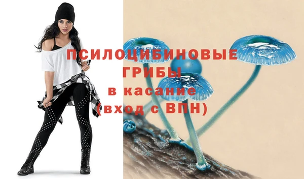 амфетамин Лабытнанги