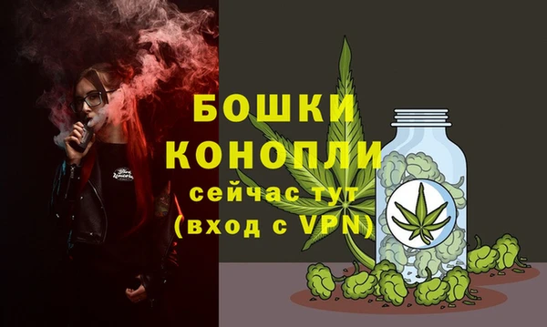 индика Магас