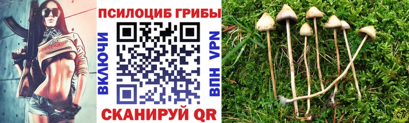 как найти закладки  Кунгур  Псилоцибиновые грибы GOLDEN TEACHER 