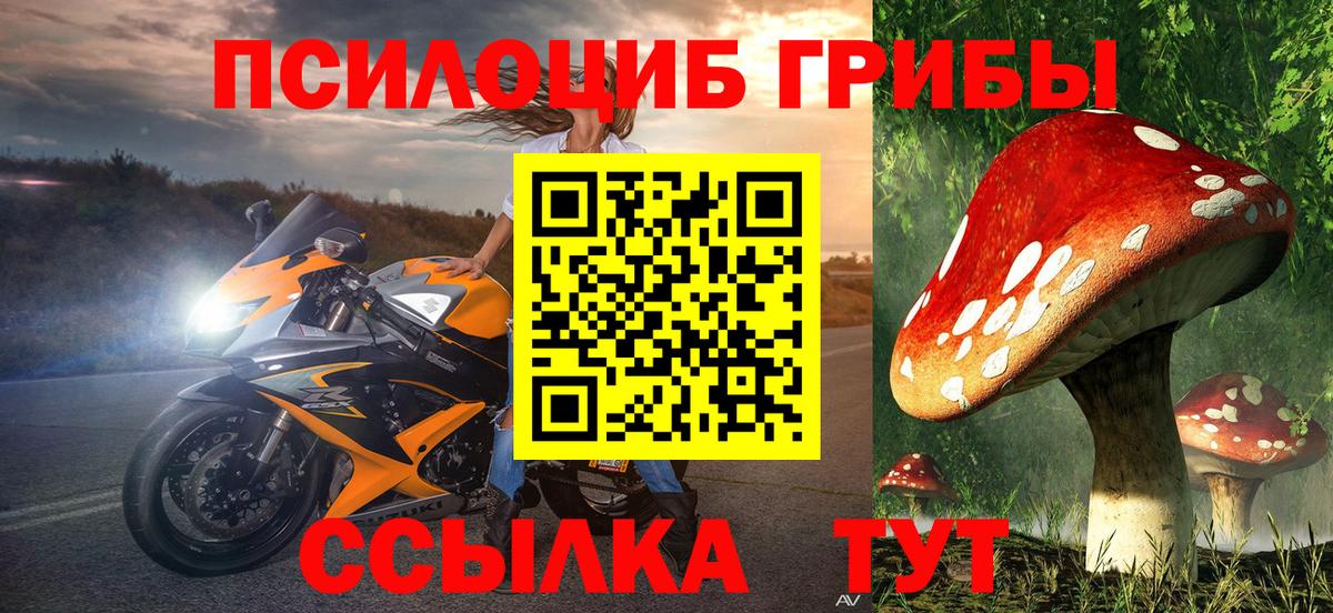 Кунгур  Псилоцибиновые грибы Cubensis  Вход с VPN 